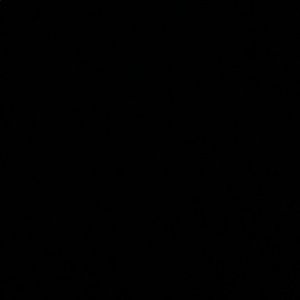 Meet your Posher, Tyson